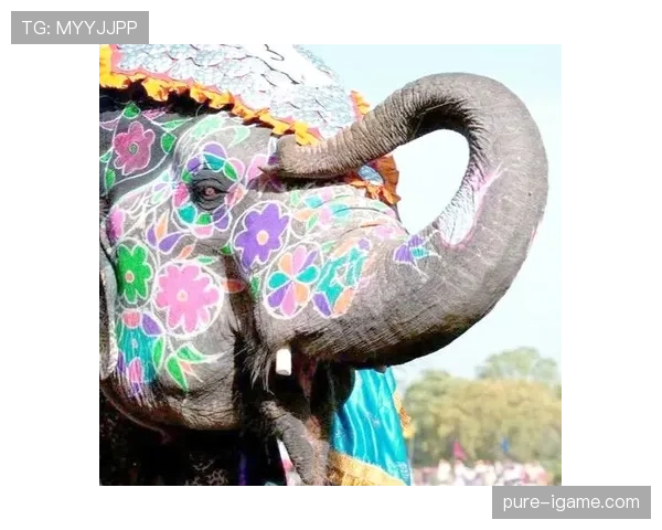 泰国队焕新登场：以大象图腾诠释团队文化魅力