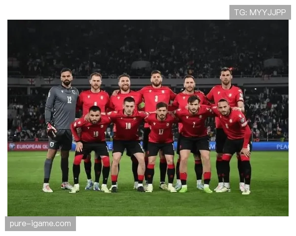 蒙特拉执掌土耳其国家队，世界杯征程焕发新希望