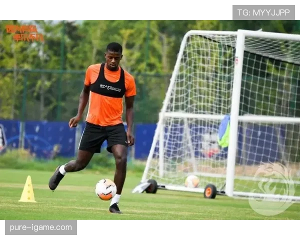 奥地利2026迎挑战：体育盛事筹备进展引关注