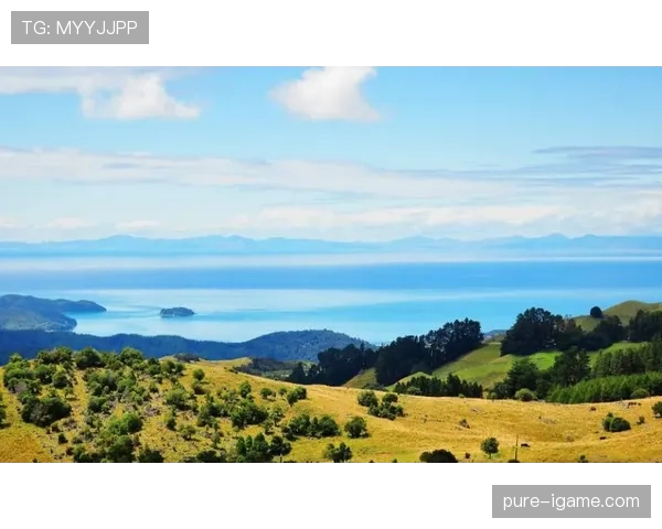 芬兰卡内瓦队长 芬兰卡内瓦队长